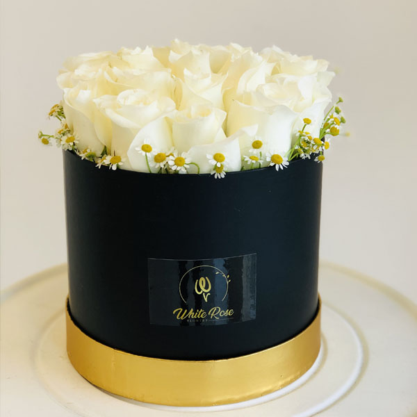 Quicky's Product Image