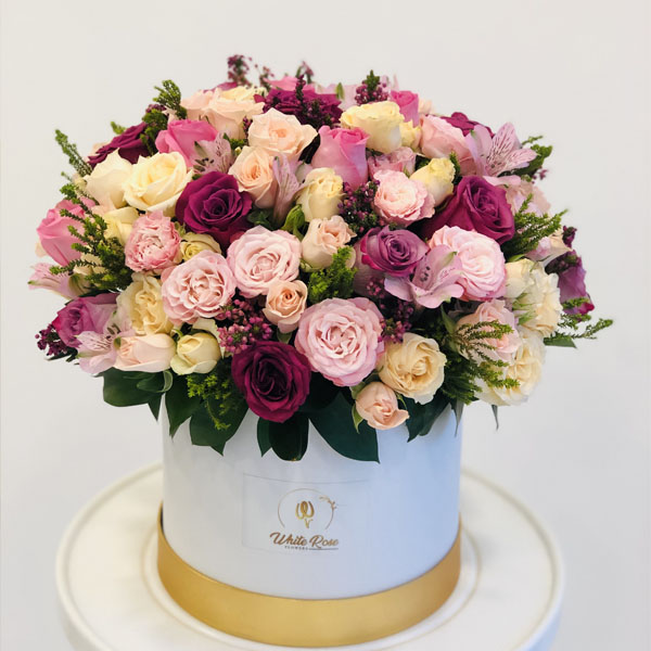 Quicky's Product Image