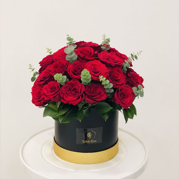 Quicky's Product Image