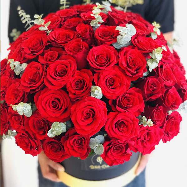 Quicky's Product Image