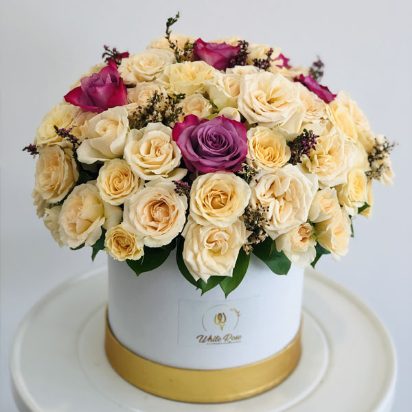 Quicky's Product Image