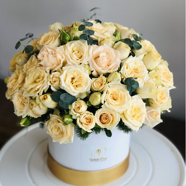 Quicky's Product Image