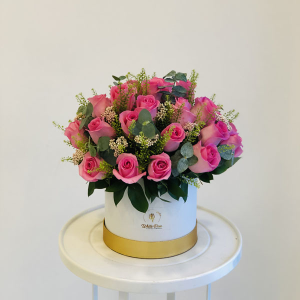 Quicky's Product Image