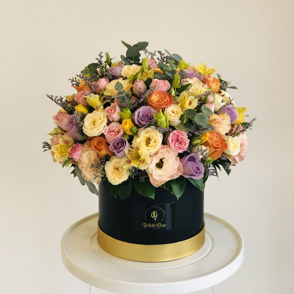 Quicky's Product Image