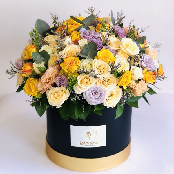 Quicky's Product Image