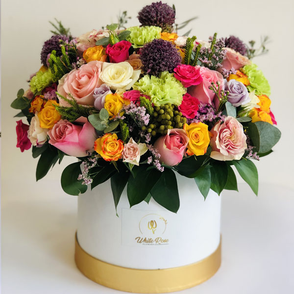 Quicky's Product Image