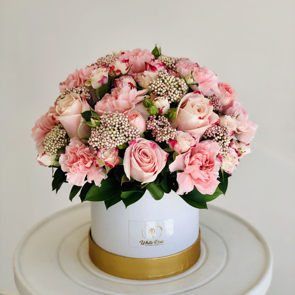 Quicky's Product Image