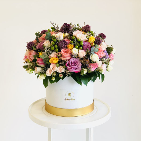 Quicky's Product Image