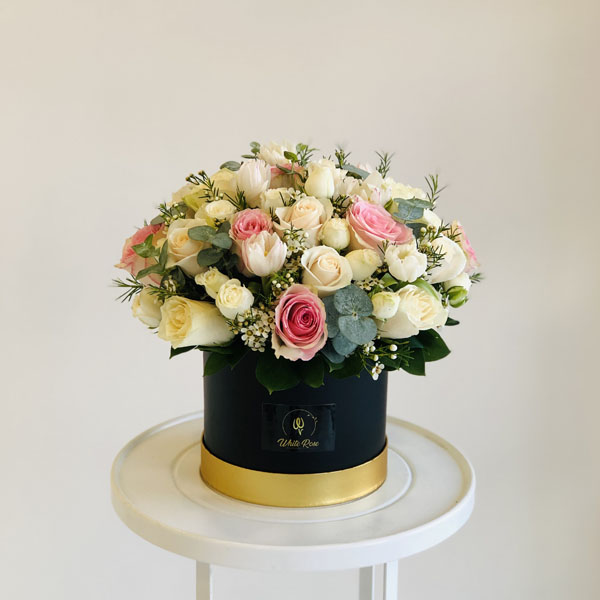 Quicky's Product Image