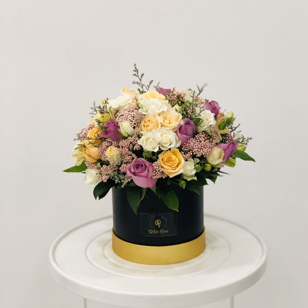 Quicky's Product Image