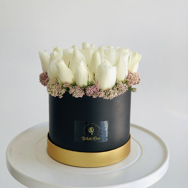 Quicky's Product Image