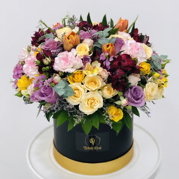 Quicky's Product Image