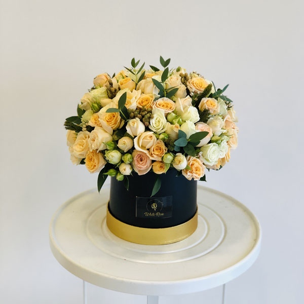 Quicky's Product Image