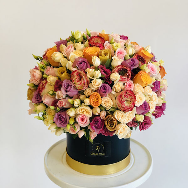 Quicky's Product Image