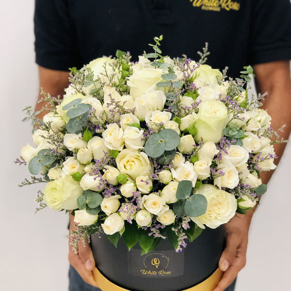 Quicky's Product Image