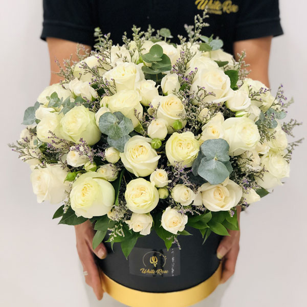 Quicky's Product Image