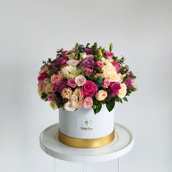 Quicky's Product Image