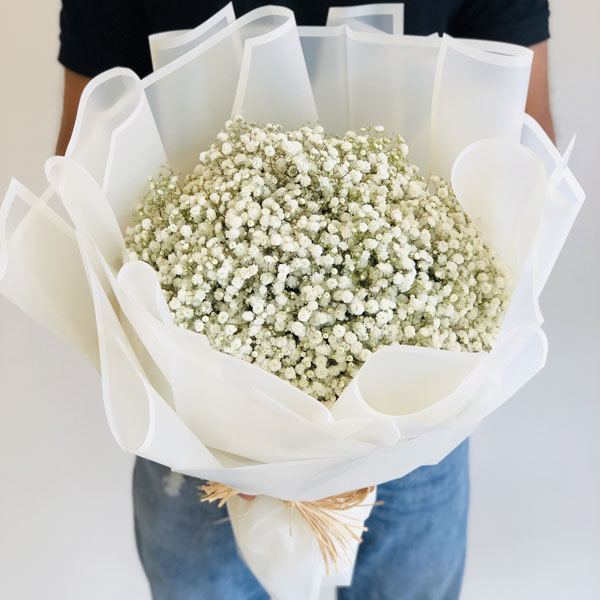 Quicky's Product Image