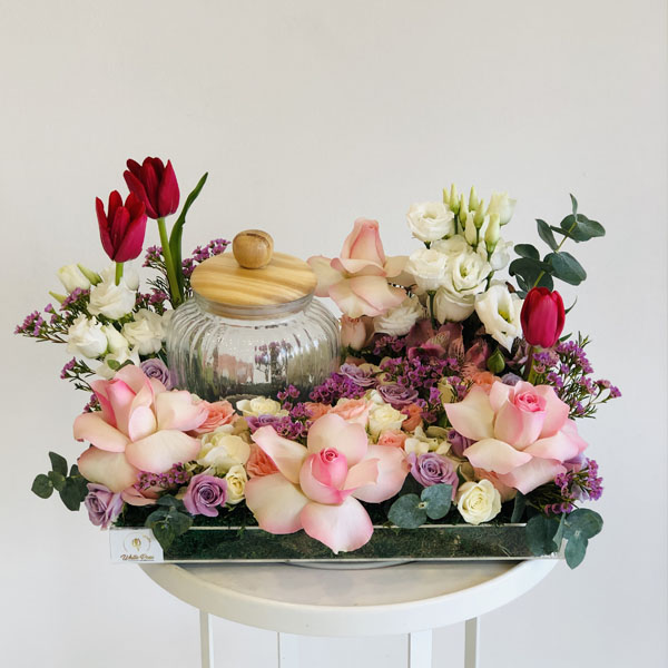 Quicky's Product Image