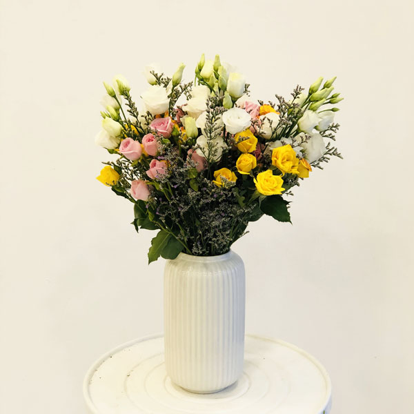 Quicky's Product Image