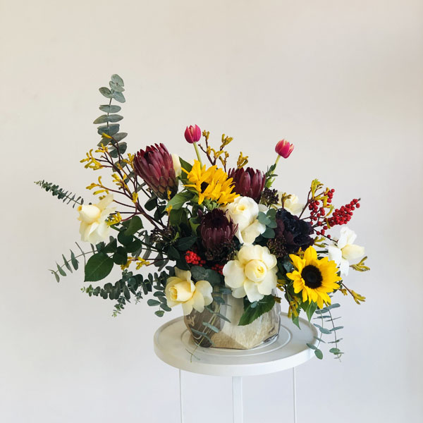 Quicky's Product Image