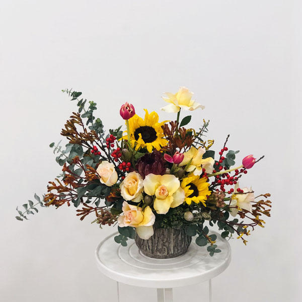 Quicky's Product Image