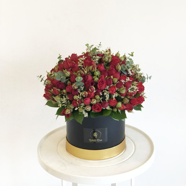 Quicky's Product Image