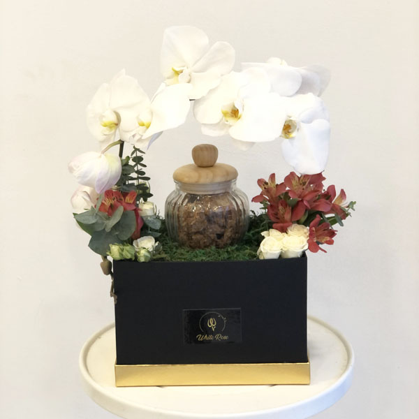 Quicky's Product Image