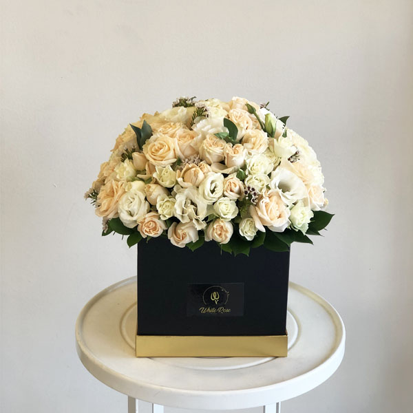 Quicky's Product Image