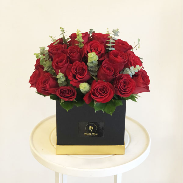 Quicky's Product Image