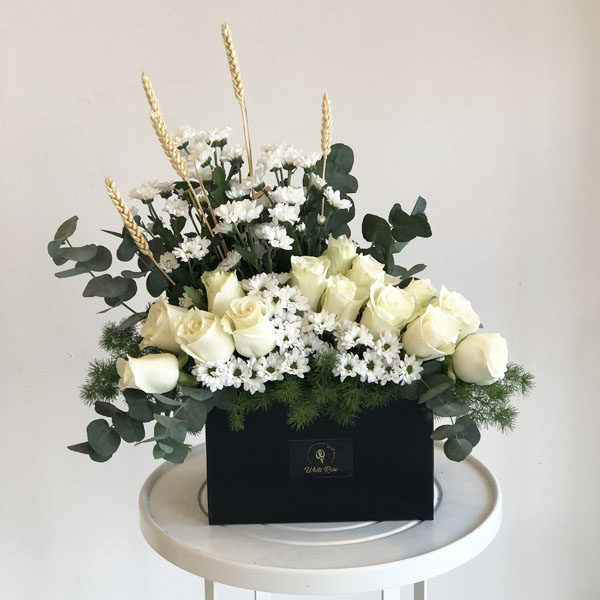 Quicky's Product Image