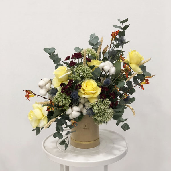 Quicky's Product Image