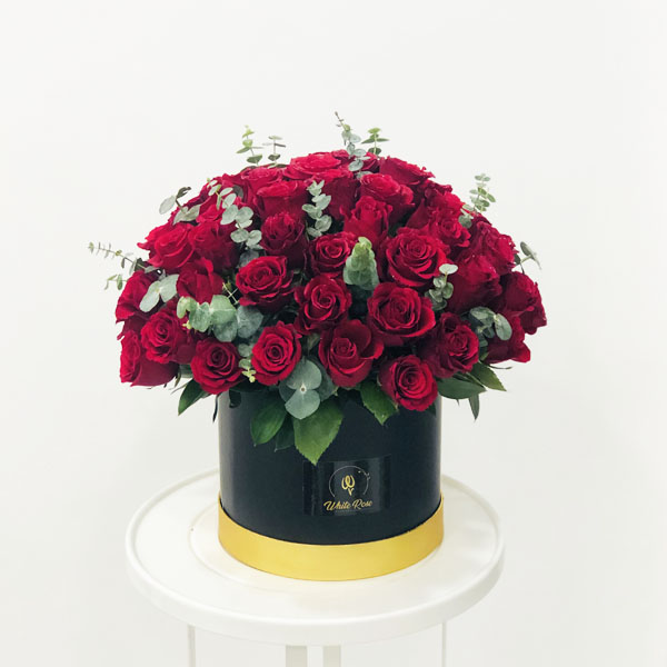 Quicky's Product Image