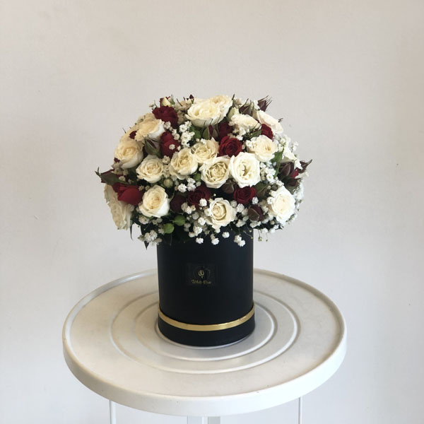 Quicky's Product Image