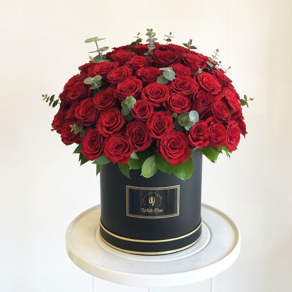 Quicky's Product Image