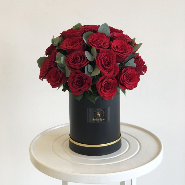 Quicky's Product Image