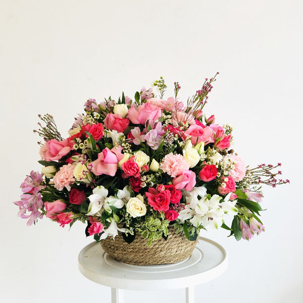 Quicky's Product Image