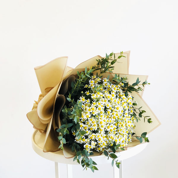 Quicky's Product Image