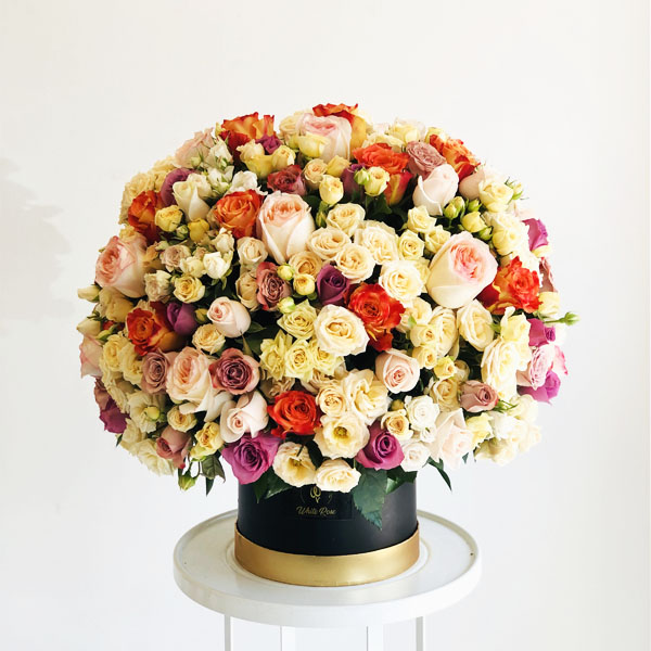 Quicky's Product Image