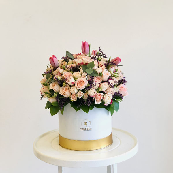 Quicky's Product Image