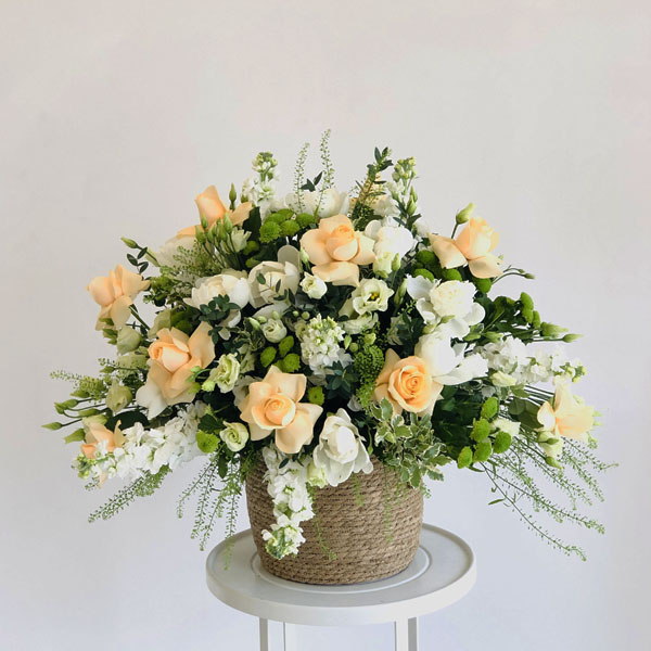 Quicky's Product Image