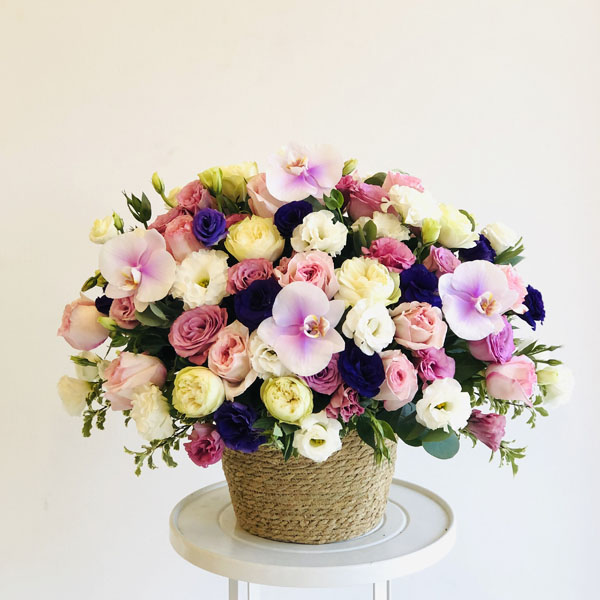 Quicky's Product Image