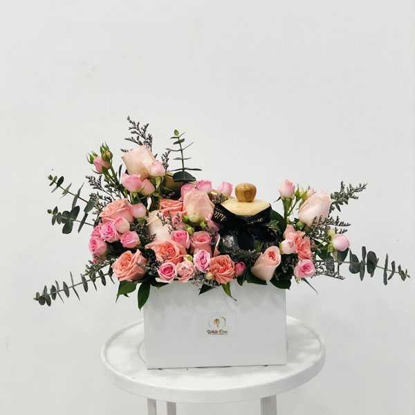 Quicky's Product Image