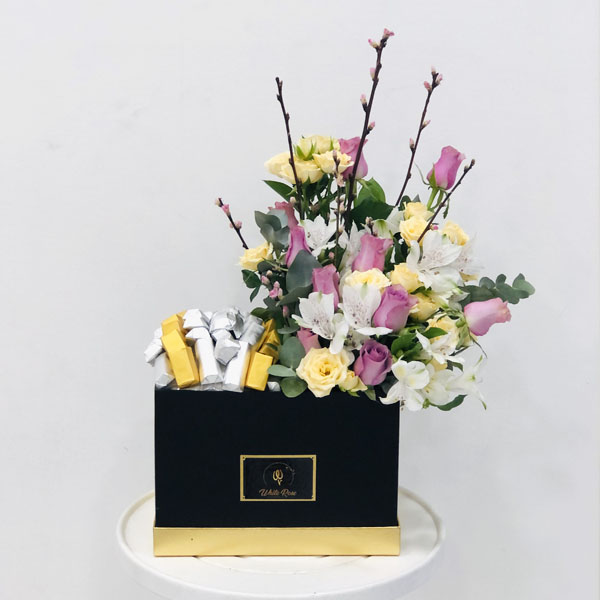 Quicky's Product Image