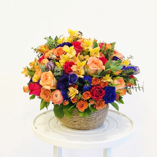 Quicky's Product Image