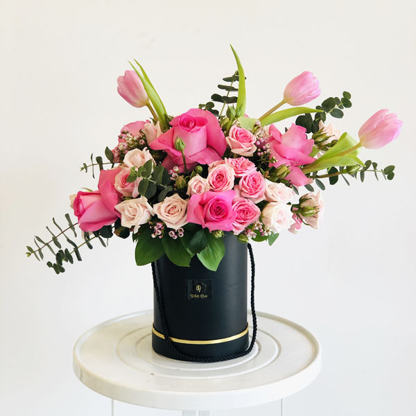 Quicky's Product Image