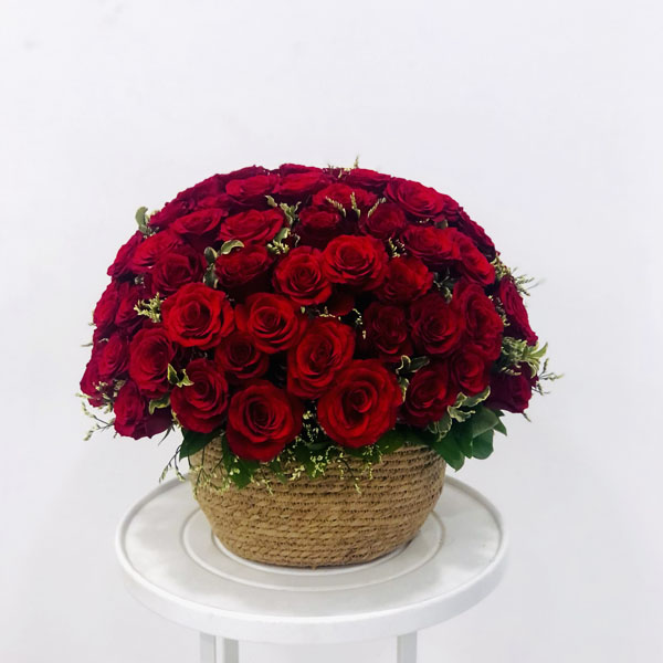 Quicky's Product Image