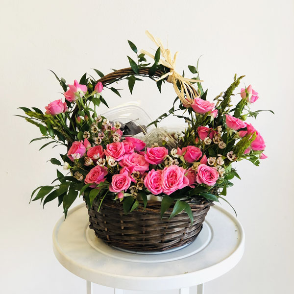 Quicky's Product Image