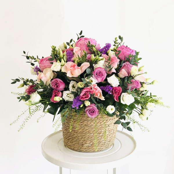 Quicky's Product Image