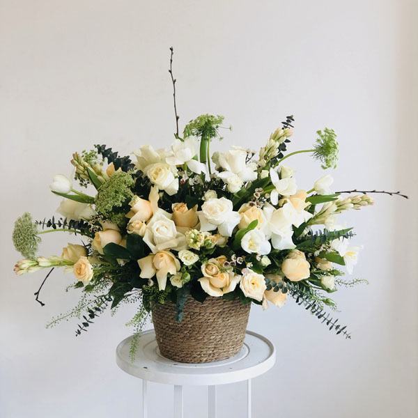 Quicky's Product Image